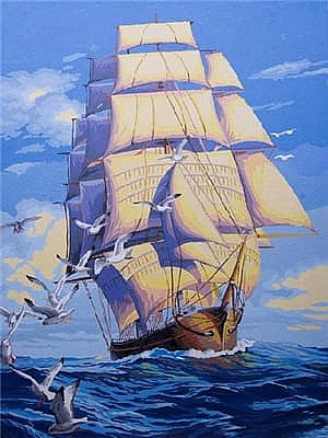 ���� ���� ������ ����� �� �� ����  50*40 - ���� ������