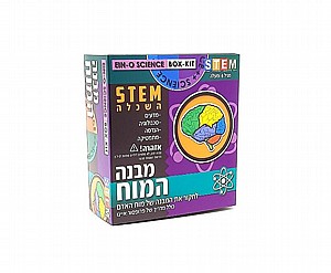 מבנה המוח פרופסור איינו מבנה המוח פרופסור איינו