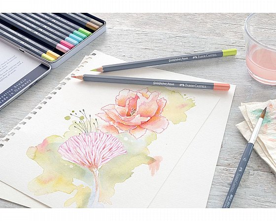 ���� ���� � �� 12 ������� ������ ���� Faber-Castell Goldfaber Aqua Watercolor Pastel
