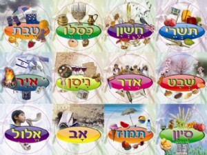 מדבקות חודשי השנה מדבקות חודשי השנה
