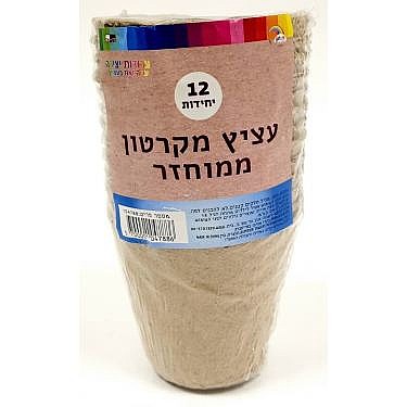���� ����� ������ 12 ��