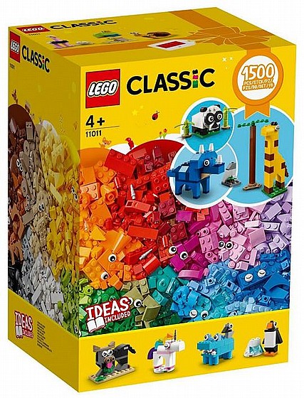 ��� ������ ����� ����� ���� 11011