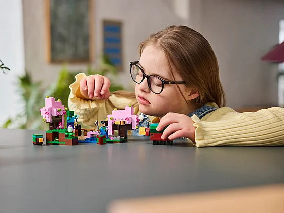 ��� ��������� �� ����� ������� (21260) | LEGO Minecraft