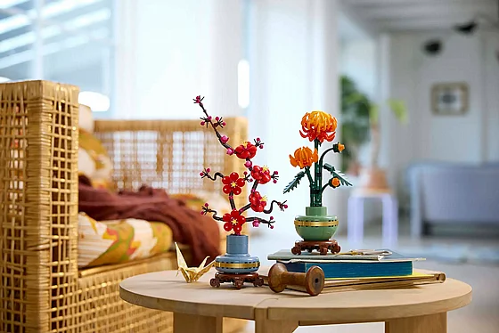 ��� ������� ������ �������� (10368) | LEGO Botanicals