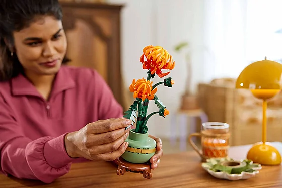 ��� ������� ������ �������� (10368) | LEGO Botanicals