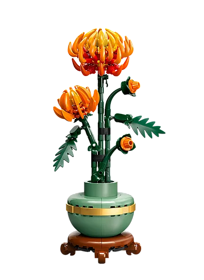 ��� ������� ������ �������� (10368) | LEGO Botanicals