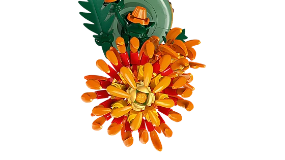 ��� ������� ������ �������� (10368) | LEGO Botanicals