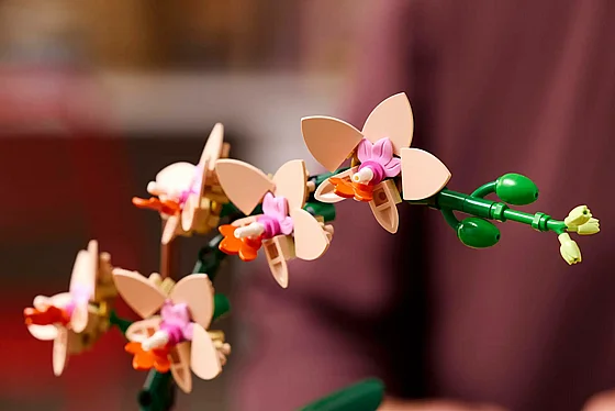 ��� ������� ���� ��� (10343) | LEGO Botanicals