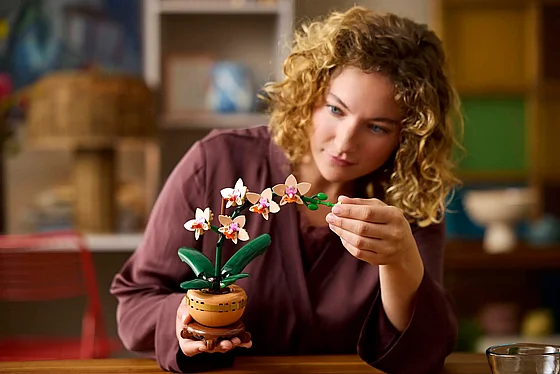 ��� ������� ���� ��� (10343) | LEGO Botanicals