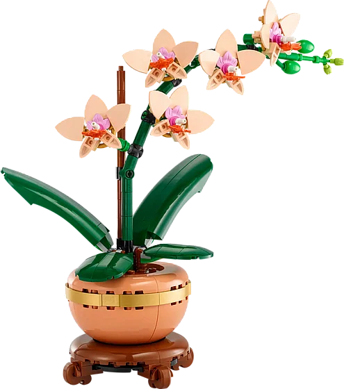 ��� ������� ���� ��� (10343) | LEGO Botanicals