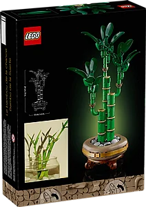 לגו בוטניקה לאקי במבוק (10344) | LEGO Botanicals לגו בוטניקה לאקי במבוק (10344) | LEGO Botanicals
