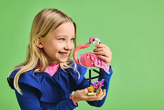 ��� ������� 3 �-1 ���� ��: ������� ���� (31170) | LEGO Creator