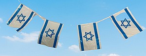 שרשרת דגלי לאום 50 מטר 45*30 ס"מ שרשרת דגלי לאום 50 מטר 45*30 ס"מ