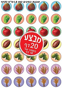 ������ ���� ������ ��� 1.8 �"� 20 ��