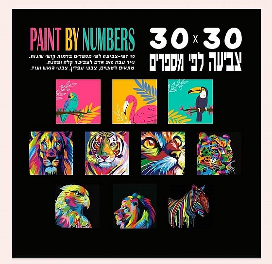 ����� ��� ������ 30*30 �"� 300 ���