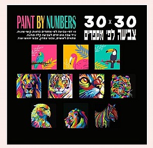 צביעה לפי מספרים 30*30 ס"מ 300 גרם צביעה לפי מספרים 30*30 ס"מ 300 גרם