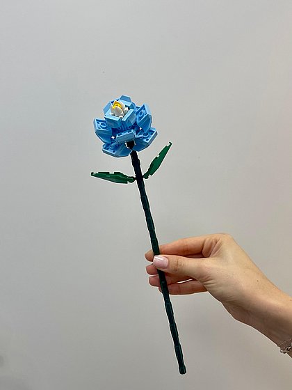 ����� ��� - ������ ����