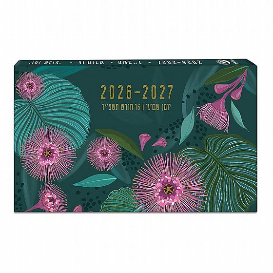 ���� ����� 10x17 ��������� �������� 2026-27