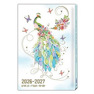 ���� ���� 14x21 ��������� ���� 2026-27