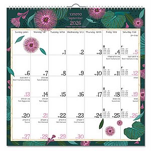 ��� ��� 33X33 �"� ��������� �������� 2026-27