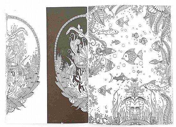 ����� ����� ������ 32 �� ������ ���������