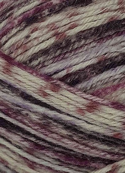 ��� SOCKS ����� 100 ��� 160-01
