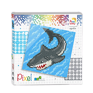 ����� ���� - ���� 12X12 �"�