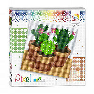 פיקסל סט אריזת PVC קקטוס פיקסל סט אריזת PVC קקטוס