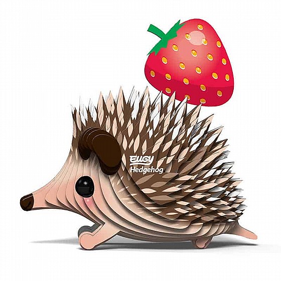���� �����