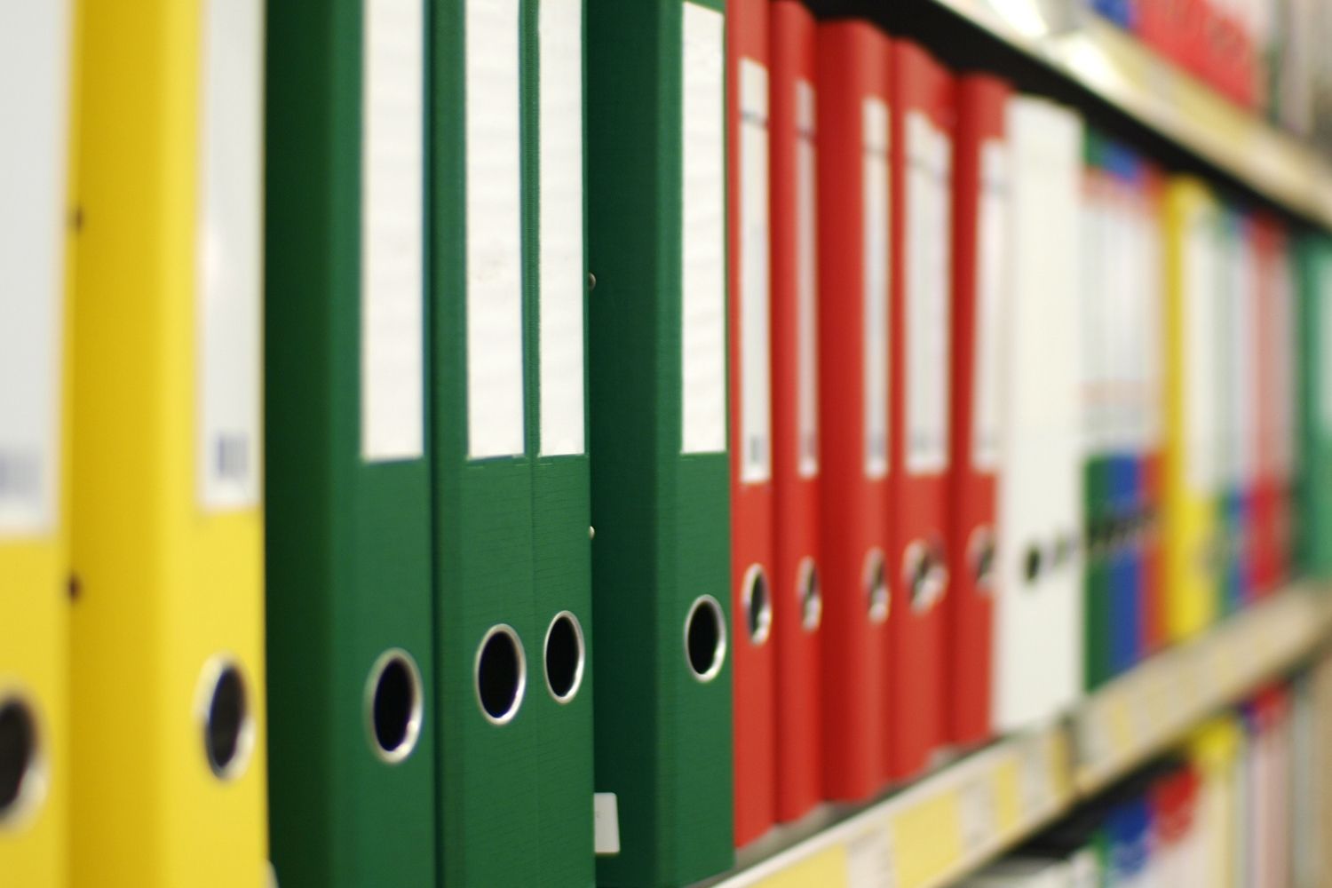 ���� ������