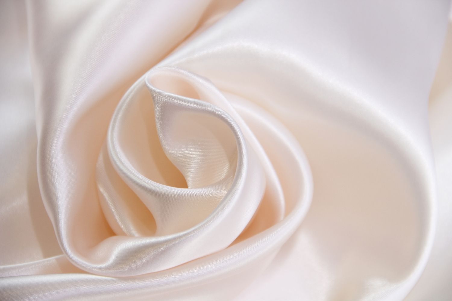 ���� ����� ������